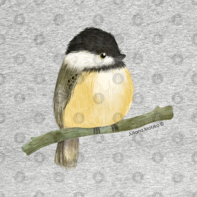 Black capped chickadee bird by julianamotzko